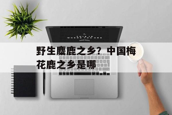 野生麋鹿之乡？中国梅花鹿之乡是哪-第1张图片-