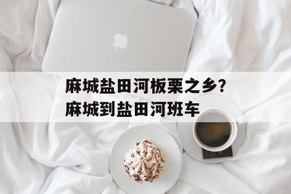 麻城盐田河板栗之乡？麻城到盐田河班车-第1张图片-