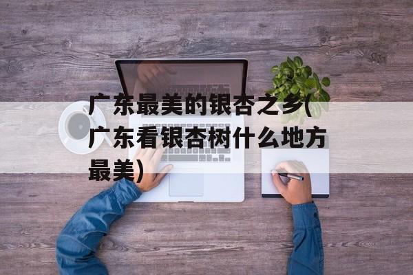 广东最美的银杏之乡(广东看银杏树什么地方最美)-第1张图片-