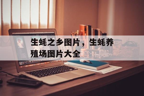 生蚝之乡图片，生蚝养殖场图片大全-第1张图片-
