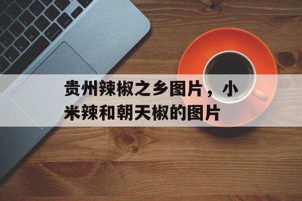 贵州辣椒之乡图片，小米辣和朝天椒的图片-第1张图片-