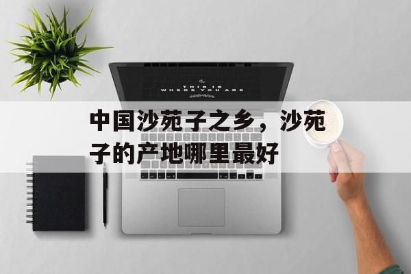 中国沙苑子之乡，沙苑子的产地哪里最好-第1张图片-