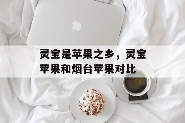灵宝是苹果之乡，灵宝苹果和烟台苹果对比-第1张图片-