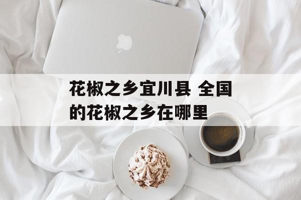 花椒之乡宜川县 全国的花椒之乡在哪里-第1张图片-