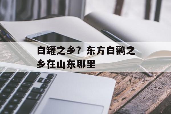 白罐之乡？东方白鹳之乡在山东哪里-第1张图片-