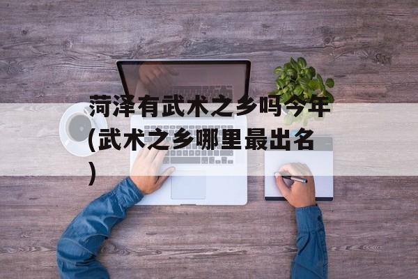 菏泽有武术之乡吗今年(武术之乡哪里最出名)-第1张图片-
