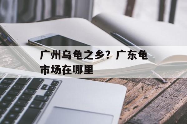 广州乌龟之乡？广东龟市场在哪里-第1张图片-