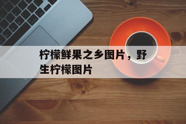 柠檬鲜果之乡图片，野生柠檬图片-第1张图片-