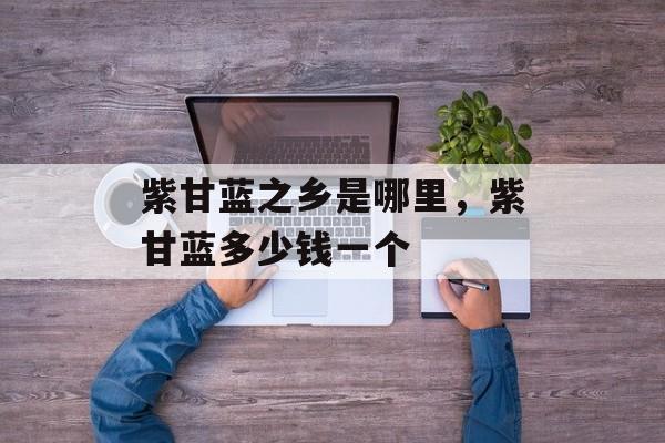 紫甘蓝之乡是哪里，紫甘蓝多少钱一个-第1张图片-