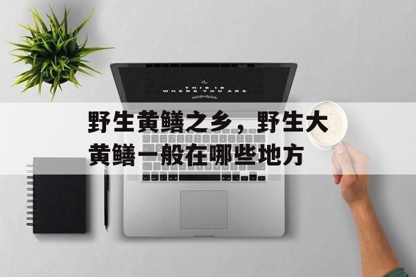 野生黄鳝之乡，野生大黄鳝一般在哪些地方-第1张图片-