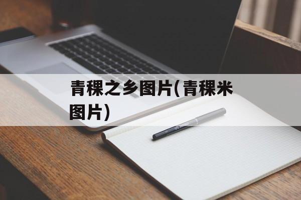 青稞之乡图片(青稞米图片)-第1张图片-