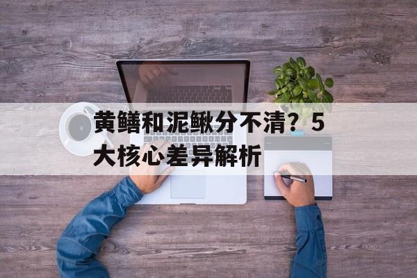 黄鳝和泥鳅分不清?5大核心差异解析-第1张图片- 黄鳝和泥鳅分不清?5大核心差异解析-第1张图片-